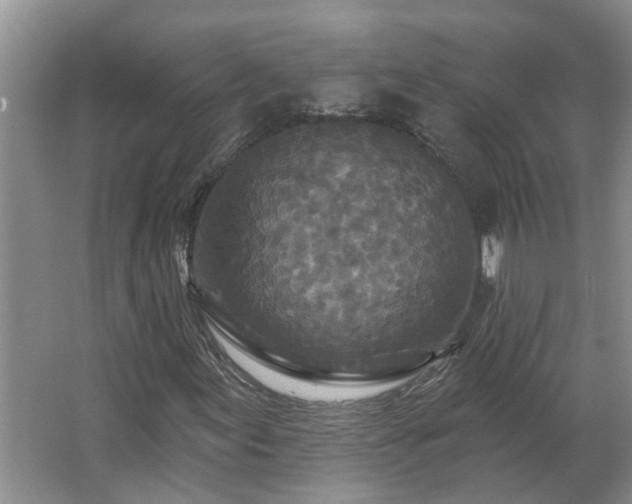 X0000062641155200512281614