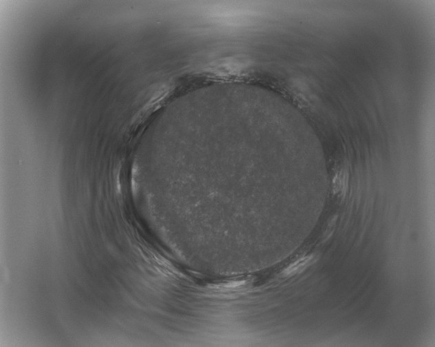 X0000062641156200512281614