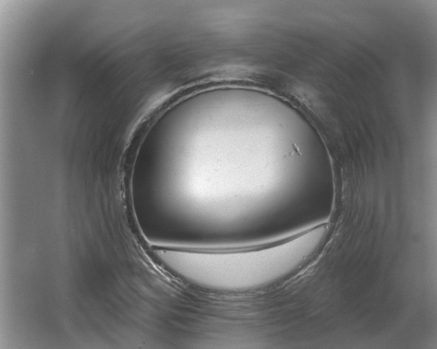 X0000062641164200512281614