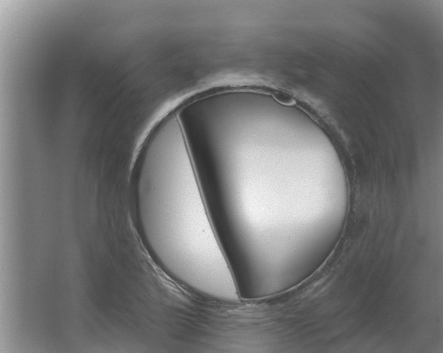 X0000062641175200512281613