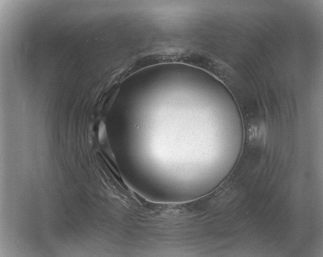 X0000062641204200512281612