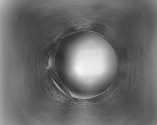 X0000062641250200512281612