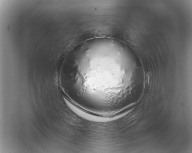 X0000062641251200512281612