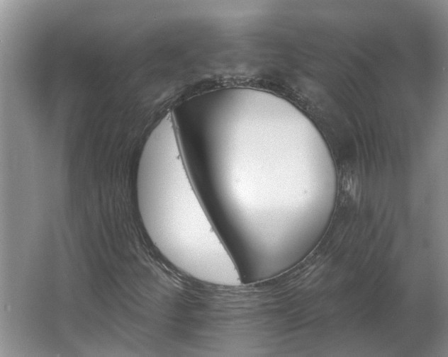 X0000062641252200512281612