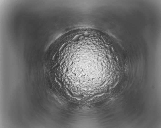 X0000062641255200512281612