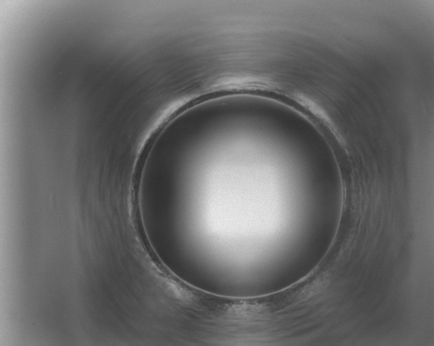 X0000062641277200512281612