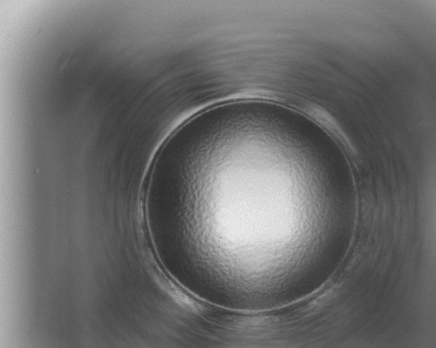 X0000062641292200512281611
