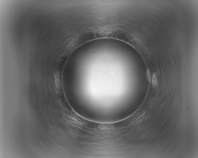 X0000062641299200512281611