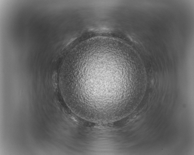 X0000062641301200512281611