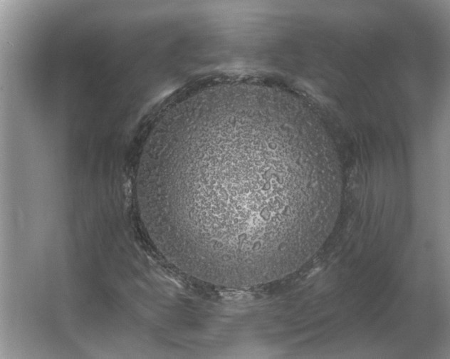 X0000062641302200512281611