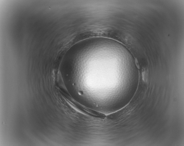 X0000062641347200512281610