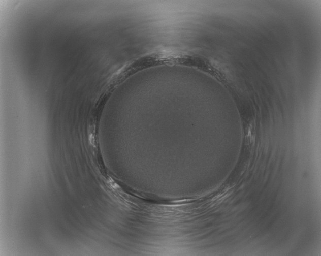 X0000062641348200512281610