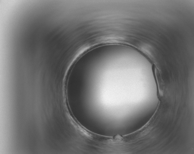X0000062641384200512281610