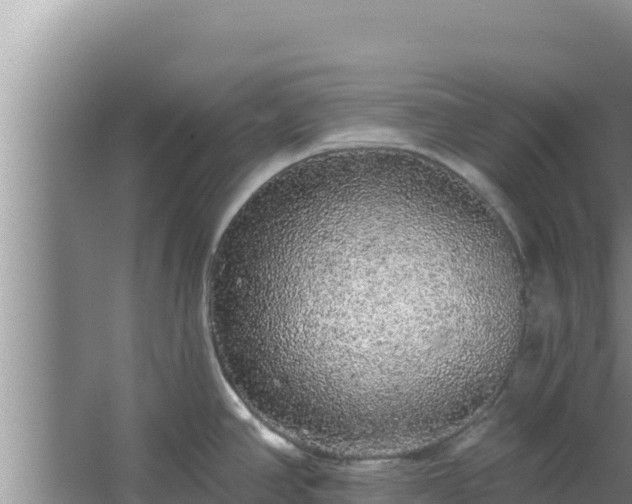 X0000062641390200512281610