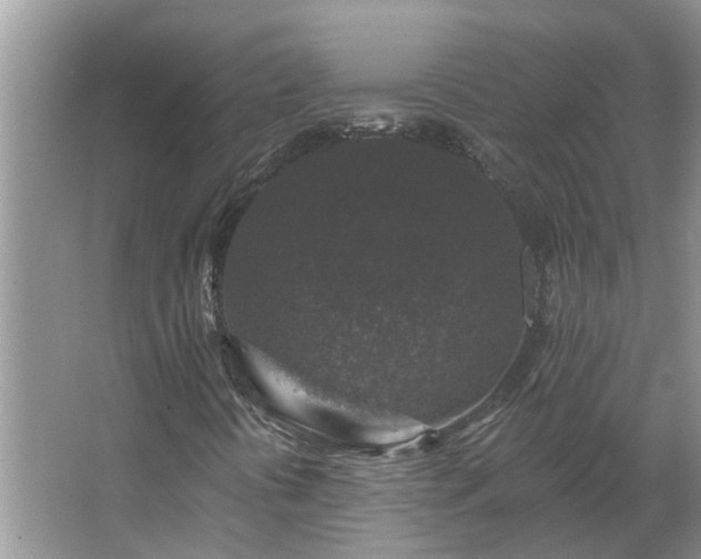 X0000062641394200512281609