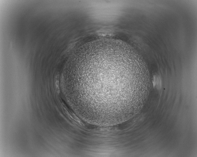 X0000062641396200512281609