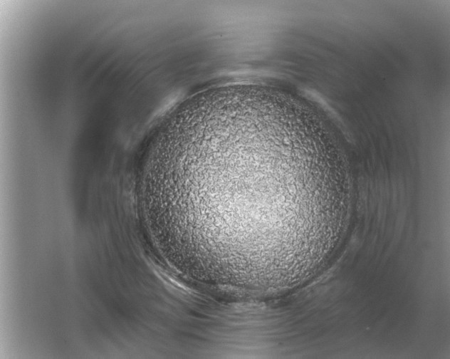 X0000062641403200512281609
