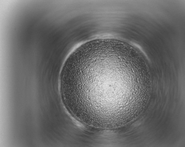 X0000062641424200512281609