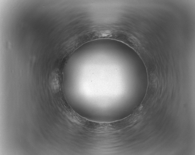 X0000062641442200512281609