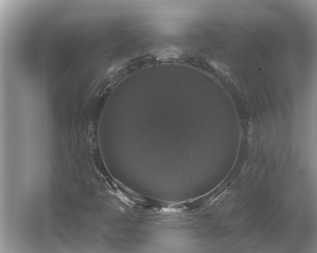 X0000062641445200512281609