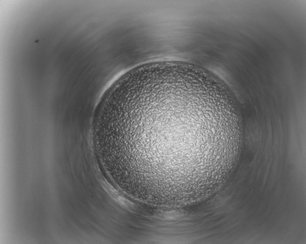 X0000062641460200512281609