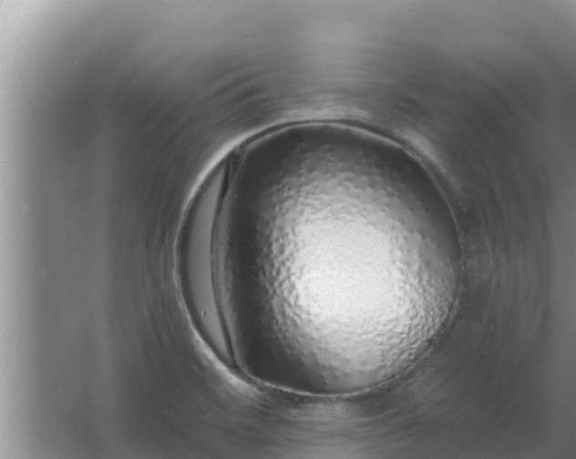 X0000062641468200512281608