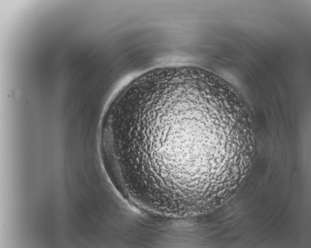 X0000062641472200512281608
