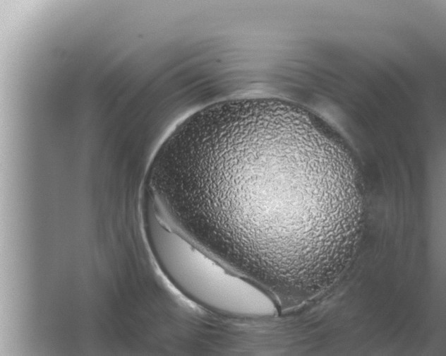 X0000062641476200512281608
