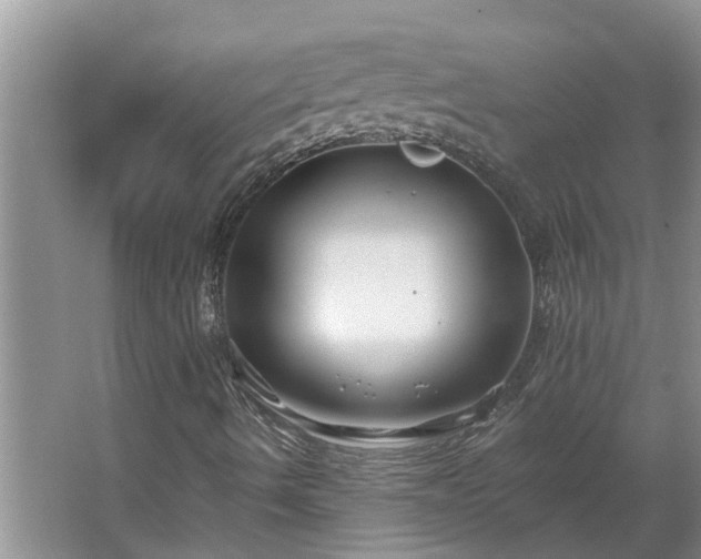 X0000062641490200512281607