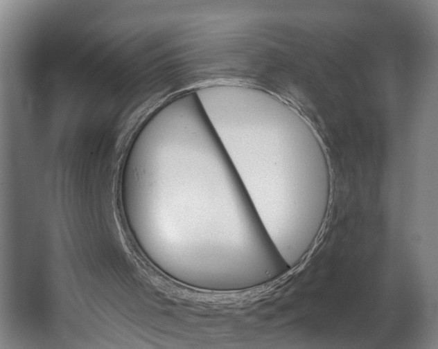 X0000062640001200601041109