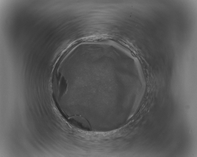 X0000062640002200601041109