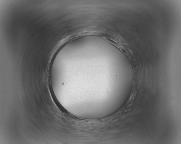 X0000062640003200601041109