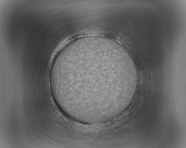 X0000062640004200601041109