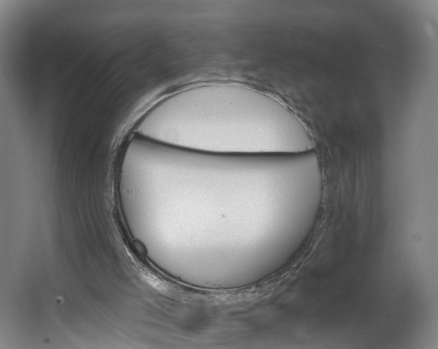 X0000062640005200601041109