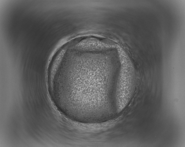 X0000062640006200601041109