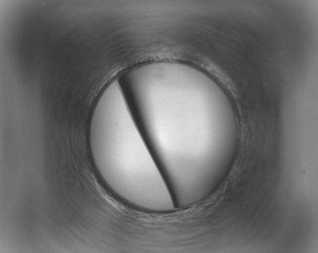 X0000062640009200601041109