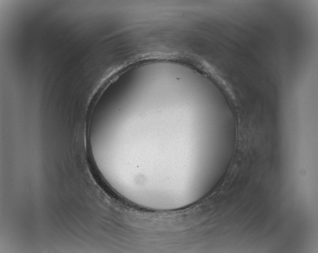 X0000062640011200601041109