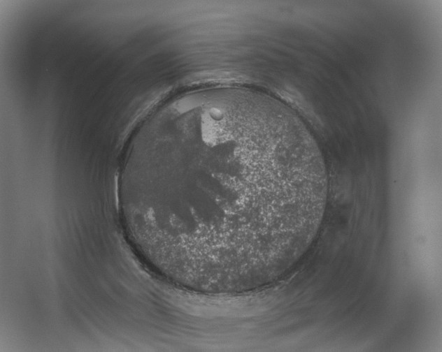 X0000062640014200601041109