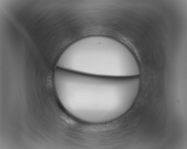 X0000062640017200601041109