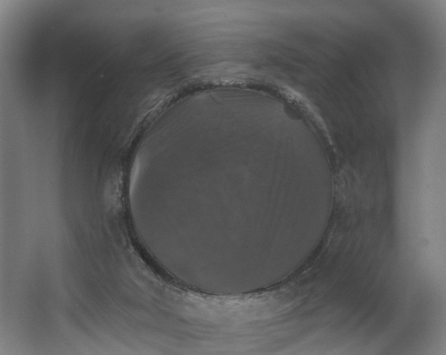 X0000062640018200601041109