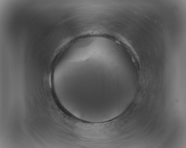 X0000062640019200601041109