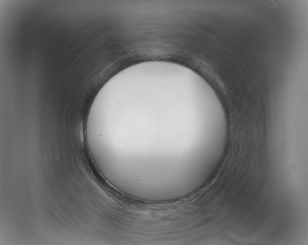 X0000062640021200601041109