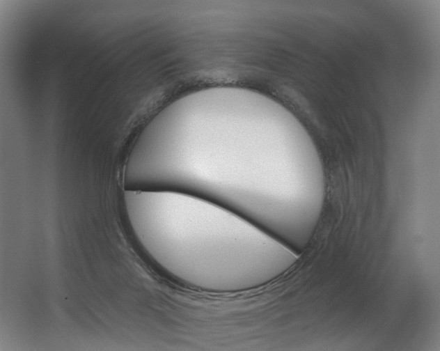 X0000062640023200601041109