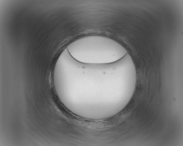 X0000062640024200601041109