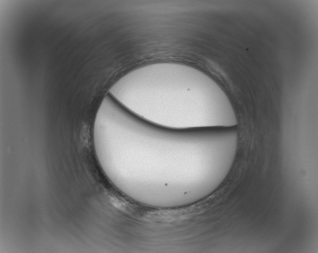 X0000062640025200601041109