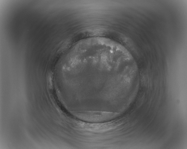 X0000062640026200601041108