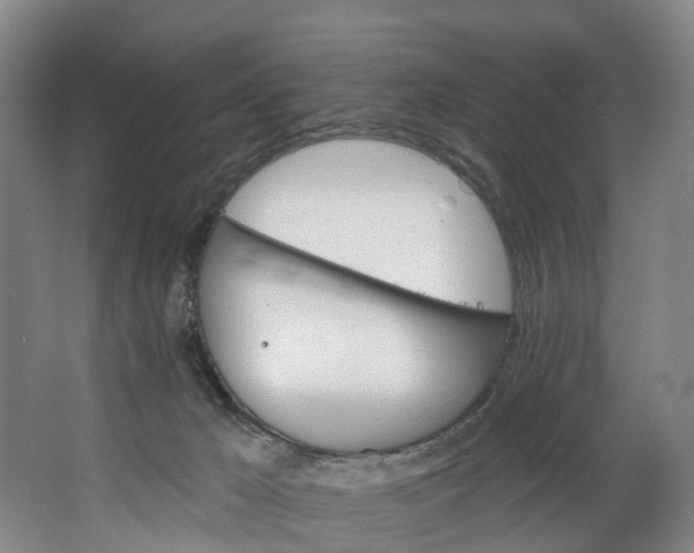 X0000062640029200601041108