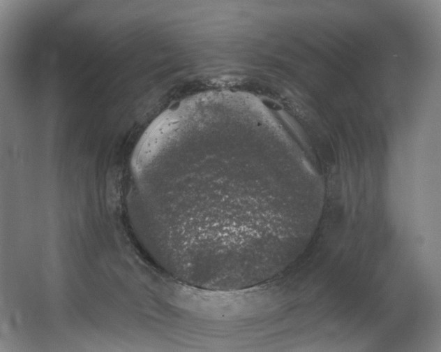 X0000062640030200601041108