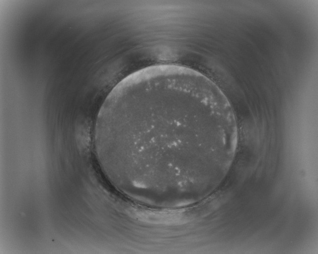 X0000062640032200601041108