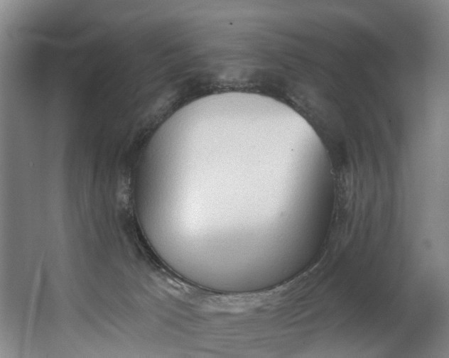 X0000062640033200601041108